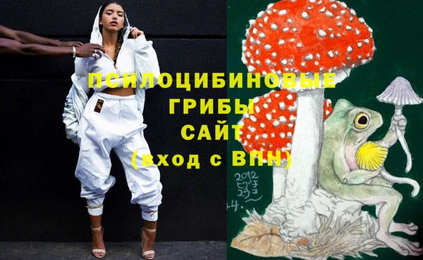 синтетический гашиш Богородицк