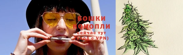крисы Богданович