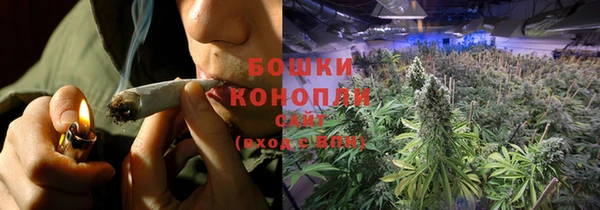 крисы Богданович